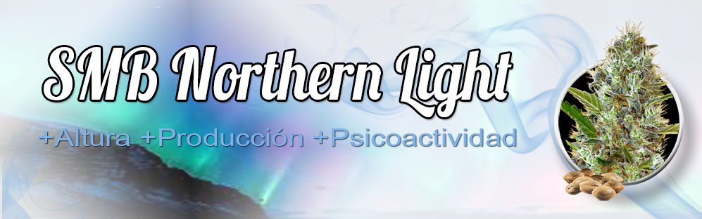 northern-light-2